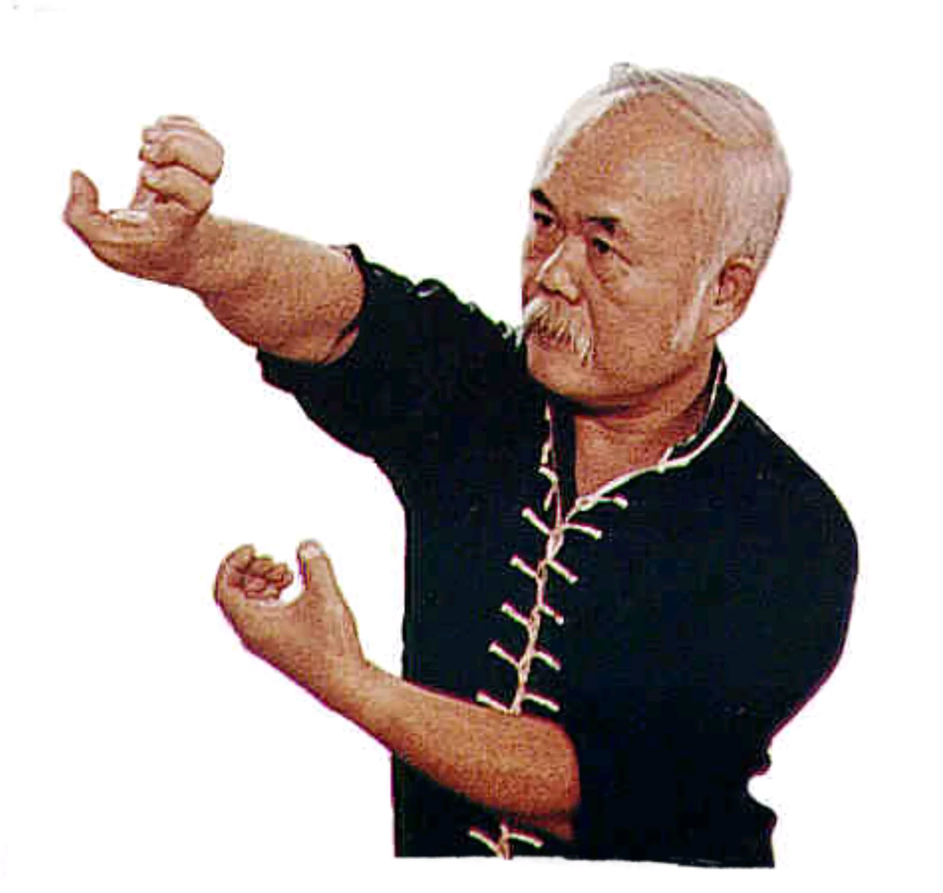 Leung Shum's Wu Style Tai Chi Chuan